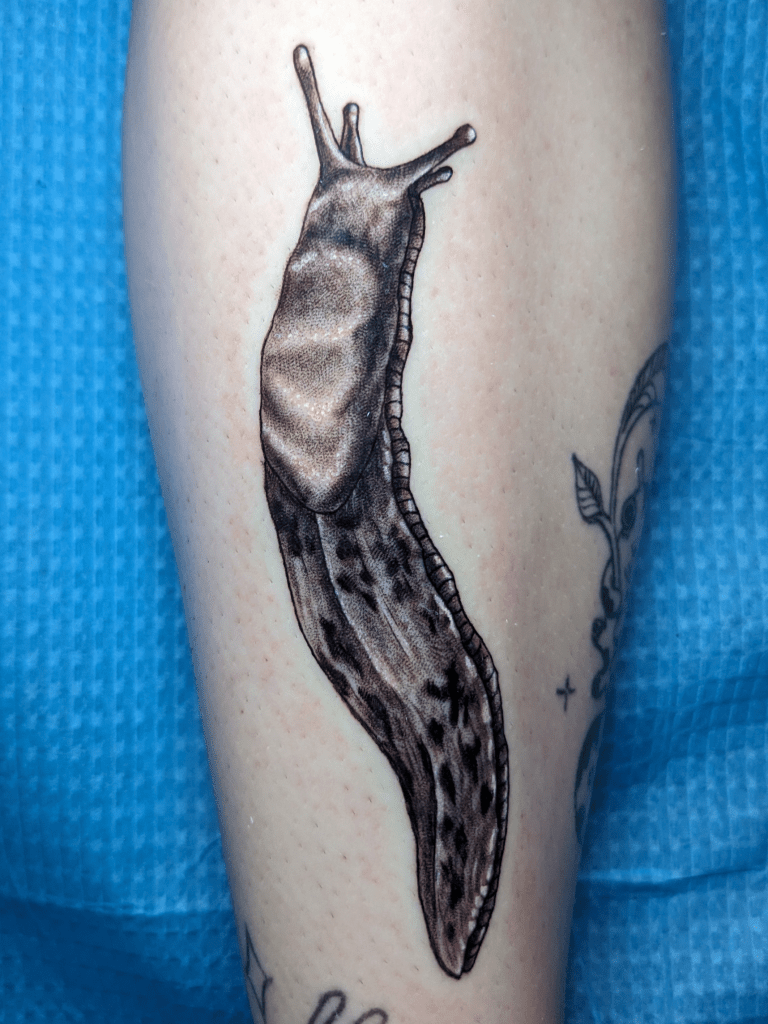 Black and grey realism slug tattoo.