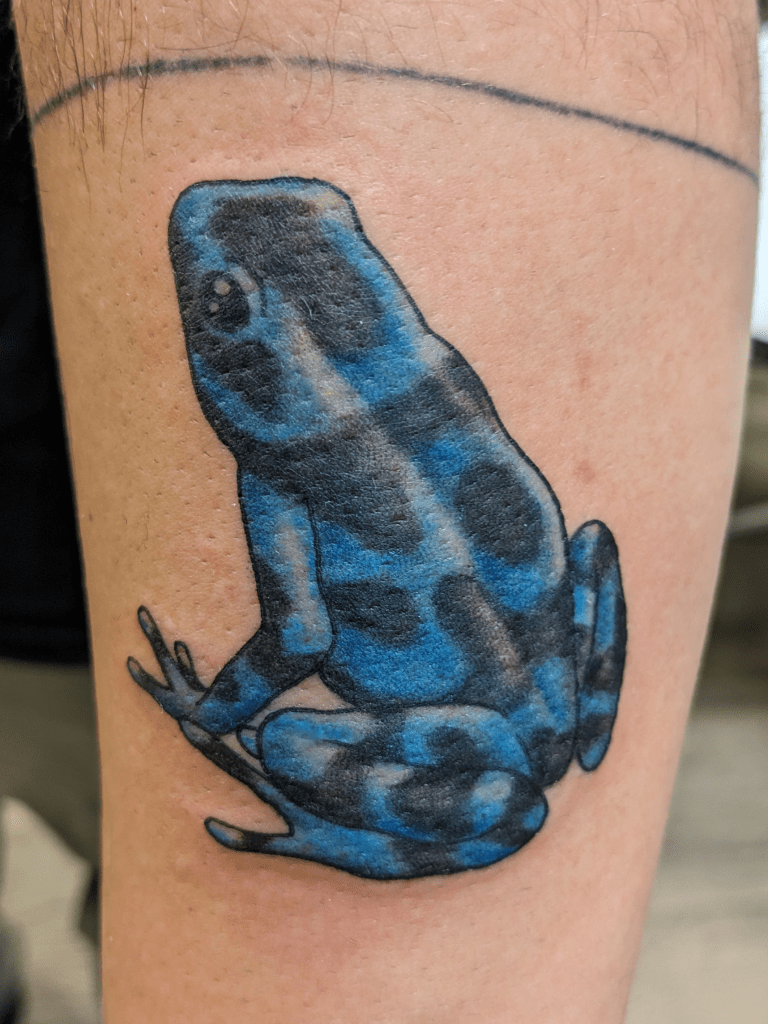 realism color tattoo of a tree frog. The frog is black and blue.